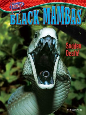 cover image of Black Mambas